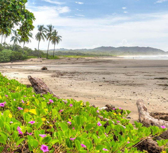 Nosara Beach Liberia Airport